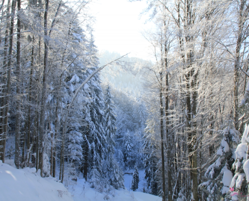 raquettes annecy hiver idees 3
